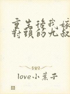 重生后我嫁给死对头的九叔