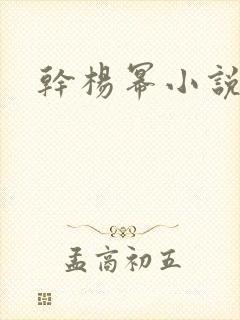 干杨幂小说