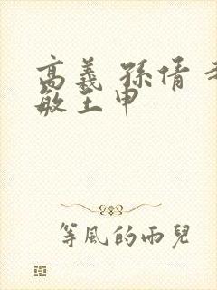 高义 孙倩 赵敏王申