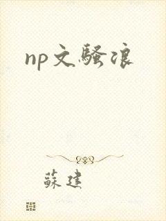 np文骚浪