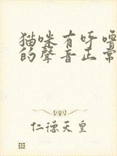 猫咪有呼噜呼噜的声音正常吗