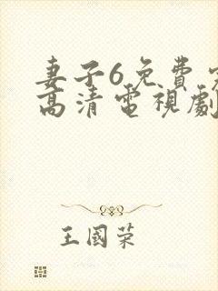 妻子6免费完整高清电视剧看封面