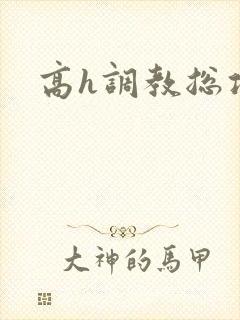 高h调教总攻文