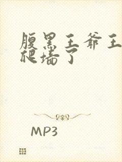 腹黑王爷王妃又爬墙了封面