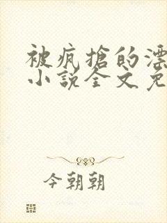 被疯抢的漂亮攻小说全文免费阅读无弹窗