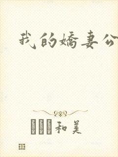 我的娇妻公务员