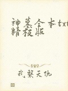 神墓全本txt精校版