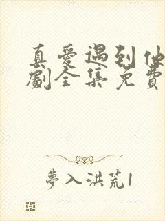 真爱遇到他电视剧全集免费