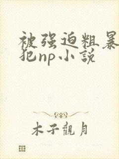 被强迫粗暴的侵犯np小说