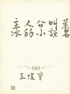 主人公叫叶秋白冰的小说名字封面