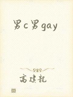 男c男gay