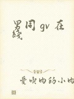 男同 gv 在线封面