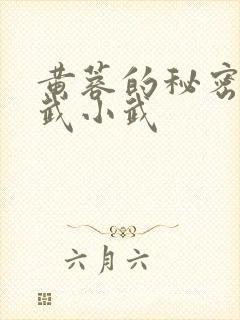 黄蓉的秘密与大武小武