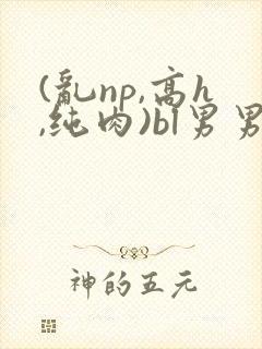(乱np,高h,纯肉)bl男男