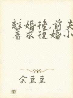 离婚后,前夫哭着求复婚小说阅读