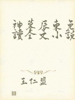 神墓辰东免费阅读全文小说