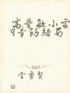 高爱敏小雷第29章的结局
