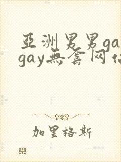 亚洲男男gaygay无套网站