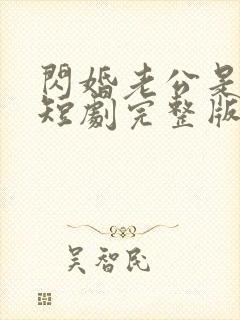 闪婚老公是总裁短剧完整版免费看