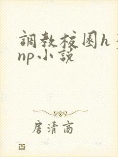 调教校园h多人np小说封面