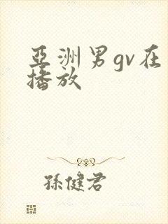 亚洲男gv在线播放