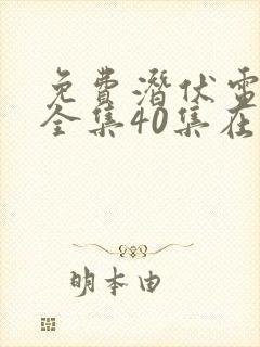 免费潜伏电视剧全集40集在线观看
