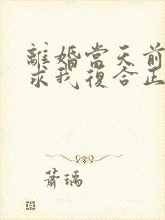 离婚当天前夫跪求我复合正版