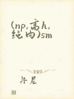 (np,高h,纯肉)sm