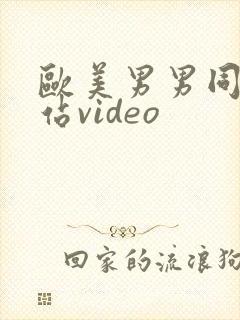 欧美男男同志网站video