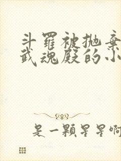 斗罗被抛弃加入武魂殿的小说