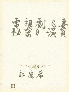 电视剧《妻子的秘密》演员表