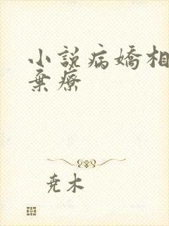小说病娇相公何弃疗