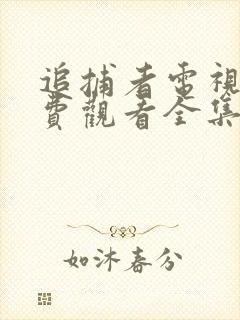 追捕者电视剧免费观看全集完整版