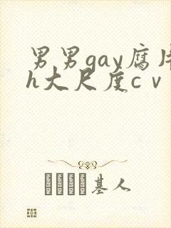 男男gay腐片h大尺度cⅴ小蓝
