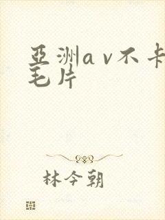 亚洲a v不卡毛片