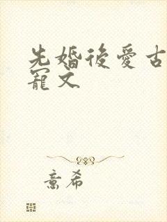 先婚后爱古言甜宠文封面