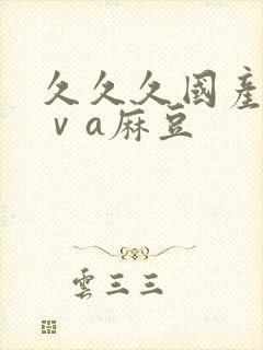 久久久国产精品ⅴa麻豆封面