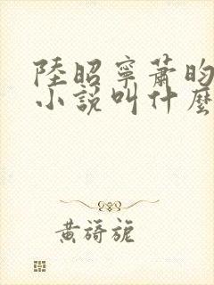 陆昭宁萧昀正版小说叫什么名字