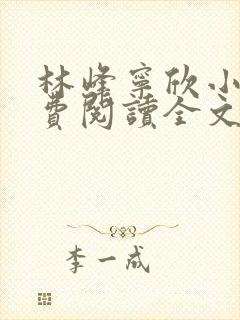 林峰宁欣小说免费阅读全文最新章节介绍封面