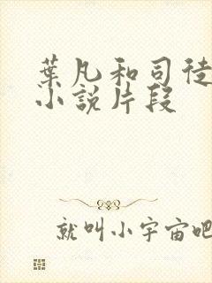 叶凡和司徒嫣然小说片段