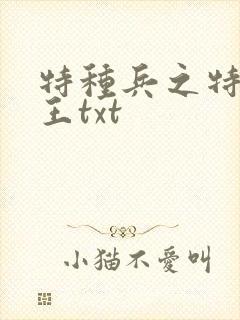 特种兵之特战兵王txt
