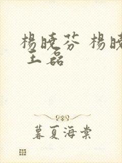 杨晓芬 杨晓芬 王磊