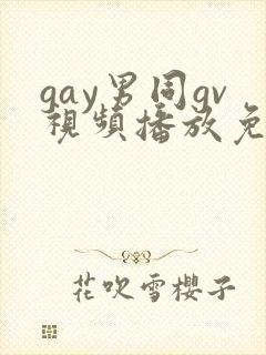 gay男同gv视频播放免费