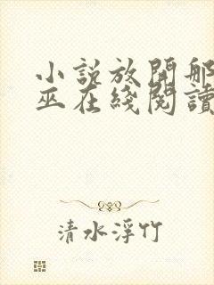小说放开那个女巫在线阅读