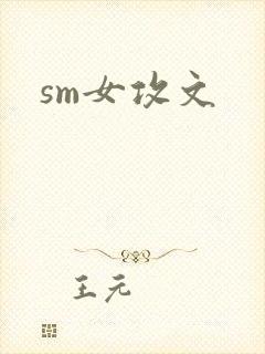 sm女攻文