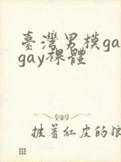 台湾男模gaygay裸体