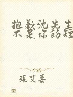 抱歉沈先生孩子不是你的短剧免费观看