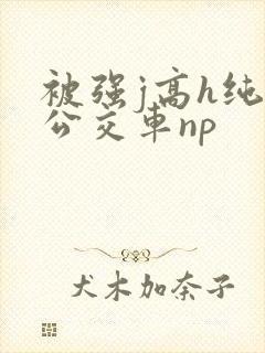 被强j高h纯肉公交车np
