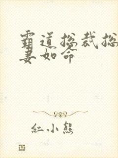 霸道总裁总裁宠妻如命