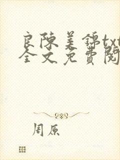 良陈美锦txt全文免费阅读封面